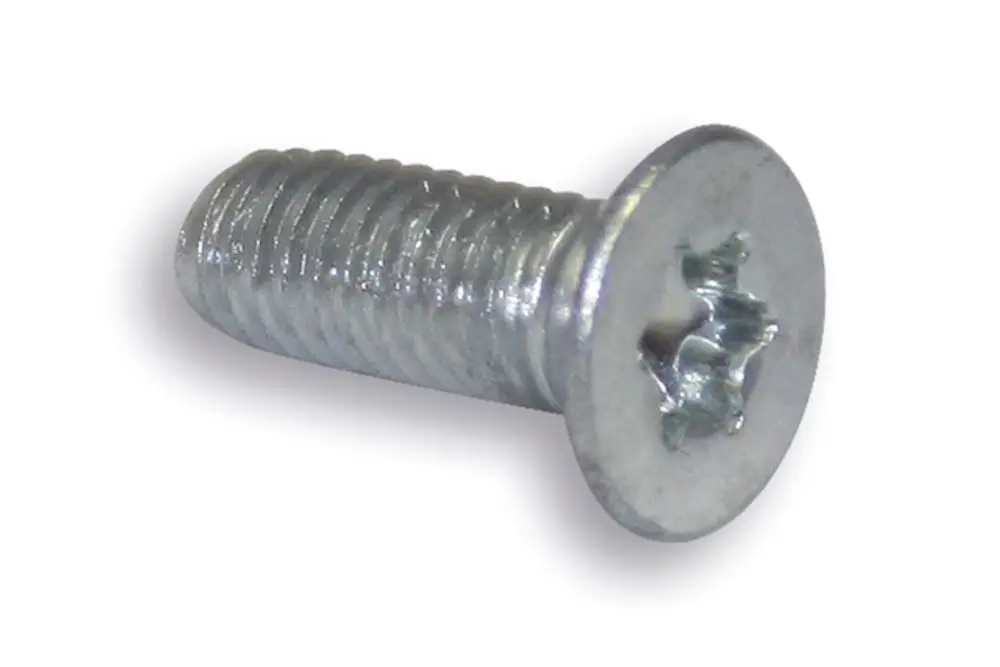 Selbstfurchende Schraube aus Metall von Roth, mit einem runden Kopf und einem gerillten Schaft für eine einfache Befestigung in verschiedenen Materialien.